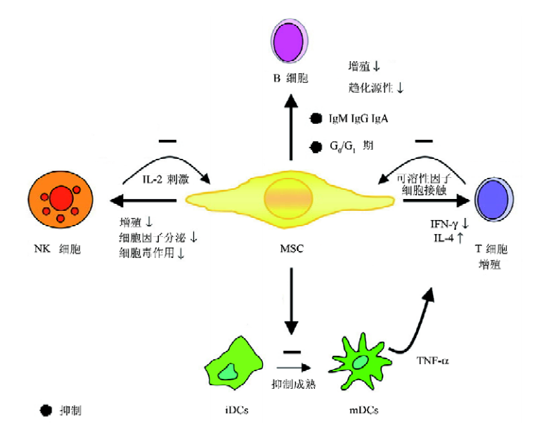 bet·356手机版(中国)登录网址-IOS/Android版