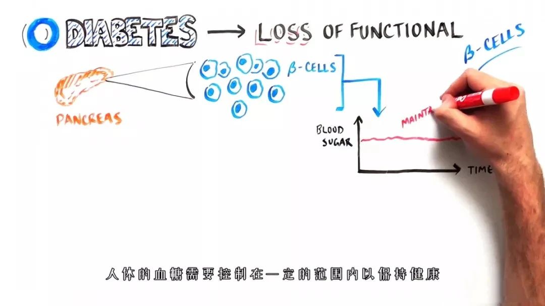 bet·356手机版(中国)登录网址-IOS/Android版